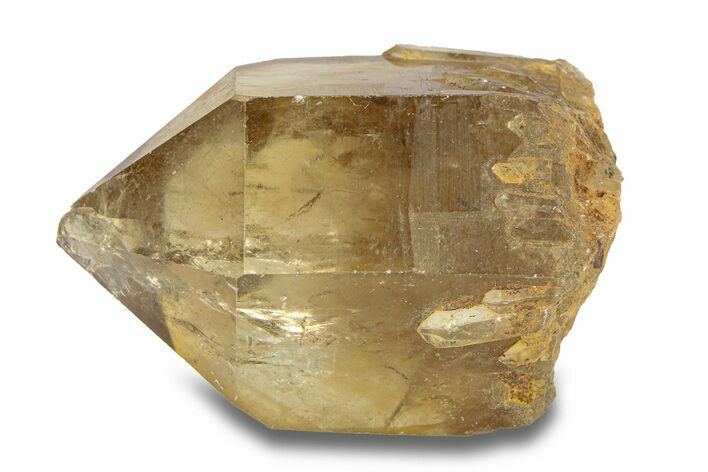 Smoky Citrine Crystal Cluster - Lwena, Congo #282865